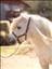 sanne
